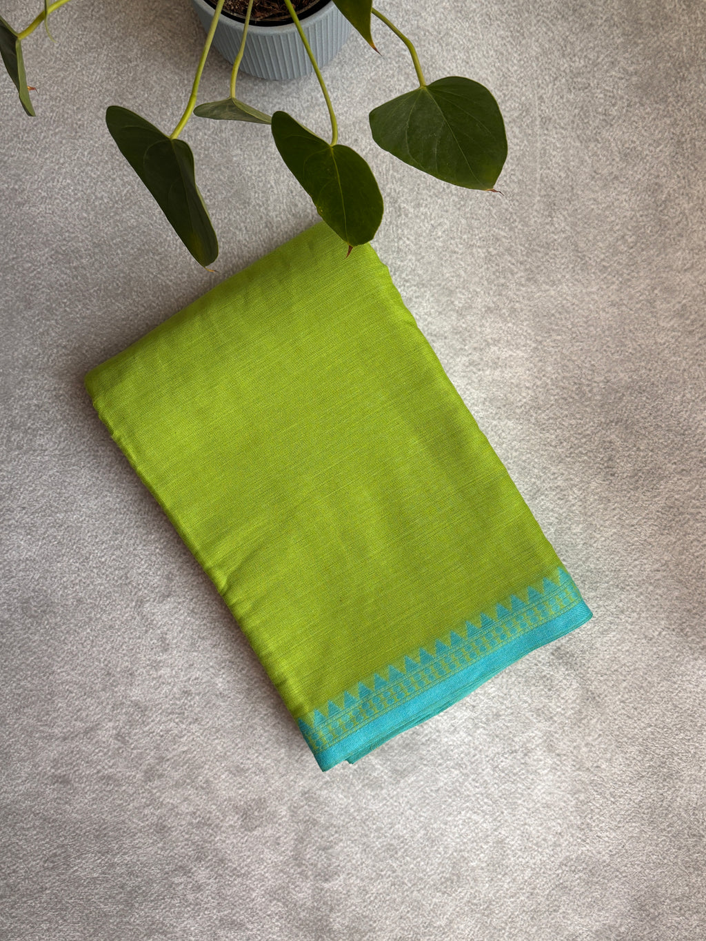 Pistachio Mint